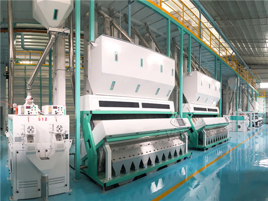 Paddy Processing Plant